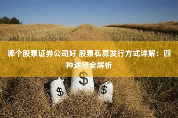 哪个股票证券公司好 股票私募发行方式详解：四种途径全解析